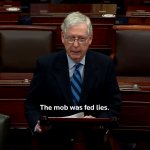 Mitch McConnell the mob was fed lies