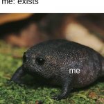 my life story | no one:
me: exists; me | image tagged in sad toad | made w/ Imgflip meme maker