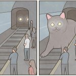 Cat Train