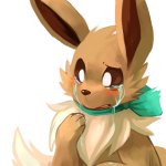 Crying Eevee