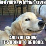 HaHA | WHEN YOU'RE PLOTTING REVENGE; AND YOU KNOW IT'S GOING TO BE GOOD. | image tagged in good boy dog | made w/ Imgflip meme maker