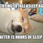 Doge sleep | ME TRYING TO FALL ASLEEP AGAIN; AFTER 13 HOURS OF SLEEP | image tagged in doge sleep,doge,funny,funny dogs,funny memes,memes | made w/ Imgflip meme maker