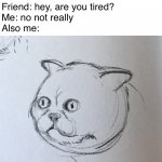 Dazed cat | Friend: hey, are you tired?
Me: no not really 
Also me: | image tagged in dazed cat | made w/ Imgflip meme maker