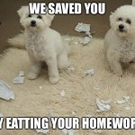 Dog Ate Homework | WE SAVED YOU; BY EATTING YOUR HOMEWORK | image tagged in dog ate homework | made w/ Imgflip meme maker