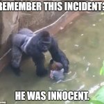 Harambe | REMEMBER THIS INCIDENT? HE WAS INNOCENT. | image tagged in harambe | made w/ Imgflip meme maker