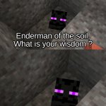 Enderman Of the Soil