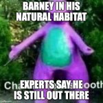wild barney | BARNEY IN HIS NATURAL HABITAT; EXPERTS SAY HE IS STILL OUT THERE | image tagged in cha cha real smooth | made w/ Imgflip meme maker