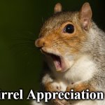 squirrel | Squirrel Appreciation Day | image tagged in squirrel | made w/ Imgflip meme maker