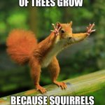 They had us in the first half... | EACH YEAR, HUNDREDS OF TREES GROW; BECAUSE SQUIRRELS FORGET WHERE THEY BURIED THEIR FOOD. | image tagged in wait a minute squirrel,squirrel,isaac_laugh,punny | made w/ Imgflip meme maker