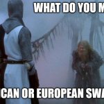 Monty Python and the Bridge of Death | WHAT DO YOU MEAN? AN AFRICAN OR EUROPEAN SWALLOW? | image tagged in monty python and the bridge of death | made w/ Imgflip meme maker