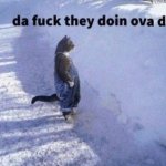 Da fuck they doin ova der