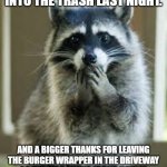 racoon | THANKS, RACCOON WHO GOT INTO THE TRASH LAST NIGHT. AND A BIGGER THANKS FOR LEAVING THE BURGER WRAPPER IN THE DRIVEWAY SO THE MRS FOUND IT AND NOW IS MAD AT ME FOR NOT FOLLOWING "OUR DIET" | image tagged in racoon | made w/ Imgflip meme maker
