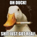 Oh duck! | OH DUCK! SHIT JUST GOT REAL! | image tagged in oh duck shit just got real | made w/ Imgflip meme maker