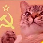 Communism Cat meme