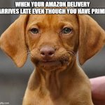 https://s3.amazonaws.com/uploads.hipchat.com/18740/3152705/mE6Nl | WHEN YOUR AMAZON DELIVERY ARRIVES LATE EVEN THOUGH YOU HAVE PRIME | image tagged in https //s3 amazonaws com/uploads hipchat com/18740/3152705/me6nl | made w/ Imgflip meme maker