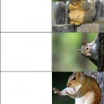 Squirrel meme