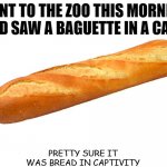 Daily Bad Dad Joke Jan 22 2021 | WENT TO THE ZOO THIS MORNING AND SAW A BAGUETTE IN A CAGE; PRETTY SURE IT WAS BREAD IN CAPTIVITY | image tagged in baguette | made w/ Imgflip meme maker