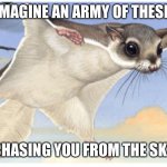 Help humanity survive | IMAGINE AN ARMY OF THESE; CHASING YOU FROM THE SKY | image tagged in flying squirrel | made w/ Imgflip meme maker