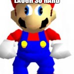 Mairo | WHEN YOU LAUGH SO HARD; YOU PEE YOUR PANTS | image tagged in mairo | made w/ Imgflip meme maker
