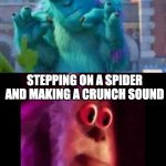 spider | STEPPING ON A LEAF AND MAKING A GOOD CRUNCH SOUND; STEPPING ON A SPIDER AND MAKING A CRUNCH SOUND | image tagged in sully ahh wut | made w/ Imgflip meme maker