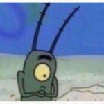 plankton