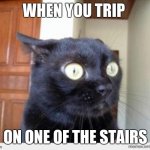 When you trip | WHEN YOU TRIP; ON ONE OF THE STAIRS | image tagged in scared cat | made w/ Imgflip meme maker