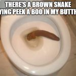 Mepo | THERE'S A BROWN SNAKE PLAYING PEEK A BOO IN MY BUTTHOLE | image tagged in larry the cable guy | made w/ Imgflip meme maker