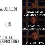 :3 | YOUR DOG; SHOW ME AN AMAZING PERSON; OH; I SAID, AN AMAZING *PERSON*; THE PERSON READING THIS; PERFECTION. | image tagged in perfection | made w/ Imgflip meme maker