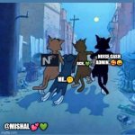 Tom | BCH..💚; NOISE.CASH ADMIN..🥰🤪; ME..🤭; @MISHAL 💕💚 | image tagged in tom | made w/ Imgflip meme maker