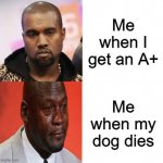 Serious to crying Drake template | Me when I get an A+; Me when my dog dies | image tagged in serious to crying drake template,dog,a | made w/ Imgflip meme maker