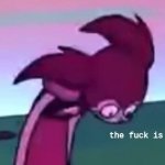 spinel tf is this meme