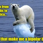 Bipolar bear | If I migrate from the Arctic to Antarctica... ... will that make me a bipolar bear? | image tagged in polar bear climate change | made w/ Imgflip meme maker