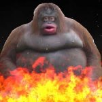 Monke Burning