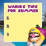 warios tips for summer meme