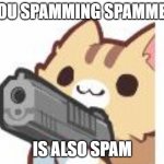 When someone spams "you're a spammer stop spamming" | YOU SPAMMING SPAMMER; IS ALSO SPAM | image tagged in gun kitty | made w/ Imgflip meme maker
