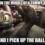 toothless | MY DOG IN THE MIDDLE OF A TUMMY SCRATCH; AND I PICK UP THE BALL... | image tagged in toothless | made w/ Imgflip meme maker