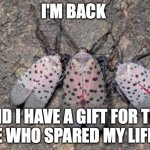 what happens when you don't kill lantern fly when you have the chance pt2 | I'M BACK; AND I HAVE A GIFT FOR THE ONE WHO SPARED MY LIFE . . . | image tagged in scheming lantern fly | made w/ Imgflip meme maker