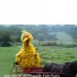 Big Bird At Dawn meme