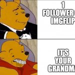 Winnie the Pooh | IT'S YOUR GRANDMA; 1 FOLLOWER ON IMGFLIP | image tagged in winnie the pooh,imgflip | made w/ Imgflip meme maker