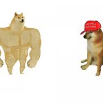 Buff doge vs. MAGA cheems