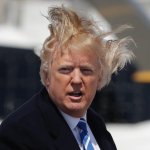 Trump hair