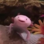 One pink boi GIF Template