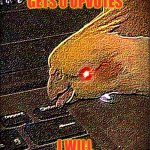 wow guys, im so proud that we reached our goal of 0 upvotes!! | IF THIS MEME GETS 0 UPVOTES; I WILL LITERALLY EXIST | image tagged in deepfried birb,deep fried | made w/ Imgflip meme maker