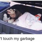 Don't touch my garbage