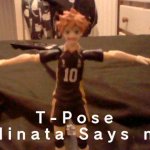 T-pose hinata