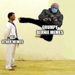 bernie conquers all | GRUMPY BERNIE MEMES; ALL OTHER MEMES | image tagged in kick,bernie sanders,memes,funny memes | made w/ Imgflip meme maker