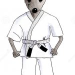 Judo Rat Mouse