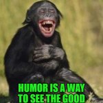 Laughing monkey | YOU CRY BECAUSE YOU HAVE BEEN HURT... HUMOR IS A WAY TO SEE THE GOOD IN THE BAD.  YOU GET THAN NOW AND ZEN. | image tagged in laughing monkey | made w/ Imgflip meme maker