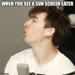 Flamingo | WHEN YOU SEE A SUN SCREEN EATER | image tagged in flamingo | made w/ Imgflip meme maker