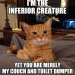 Wise Kitty | I'M THE INFERIOR CREATURE; YET YOU ARE MERELY MY COUCH AND TOILET DUMPER | image tagged in wise kitty | made w/ Imgflip meme maker